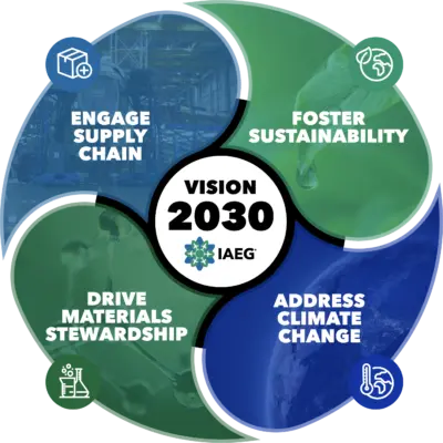 Iaeg vision 2030